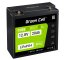 Green Cell CUBE LiFePO4 Bateria 20Ah 12.8V 256Wh de fosfato de ferro de lítio para Cortador de relé, Veículos eléctricos