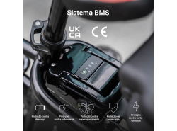 Green Cell ® Akku für Elektrofahrräder e-Bike 24V 10.4Ah 250Wh