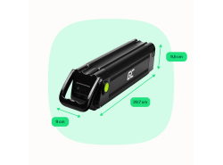 Green Cell® E-Bike Battery 24V 10.4Ah Li-Ion Silverfish with Charger for Electric Bicycle